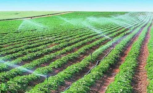按摩逼逼,让逼穴洞张开让逼高潮的视频农田高 效节水灌溉